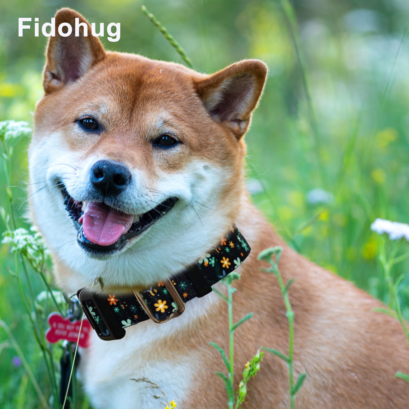 Fidohug Martingale Collar With Buckle Adjustable Nylon Limited Slip Training Dog Collars (Green Flower, Medium)